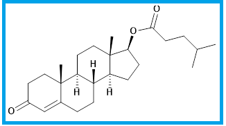TESTOSTERONE ISOCAPROATE
